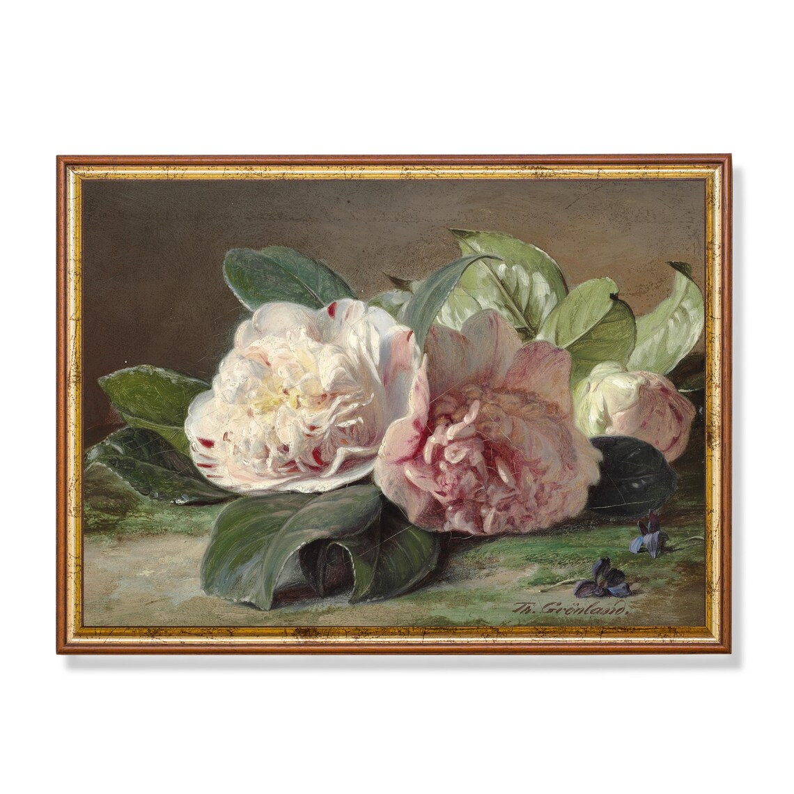 Pink Camellia Blossoms with Glossy Leaves Signed Still Life Poster