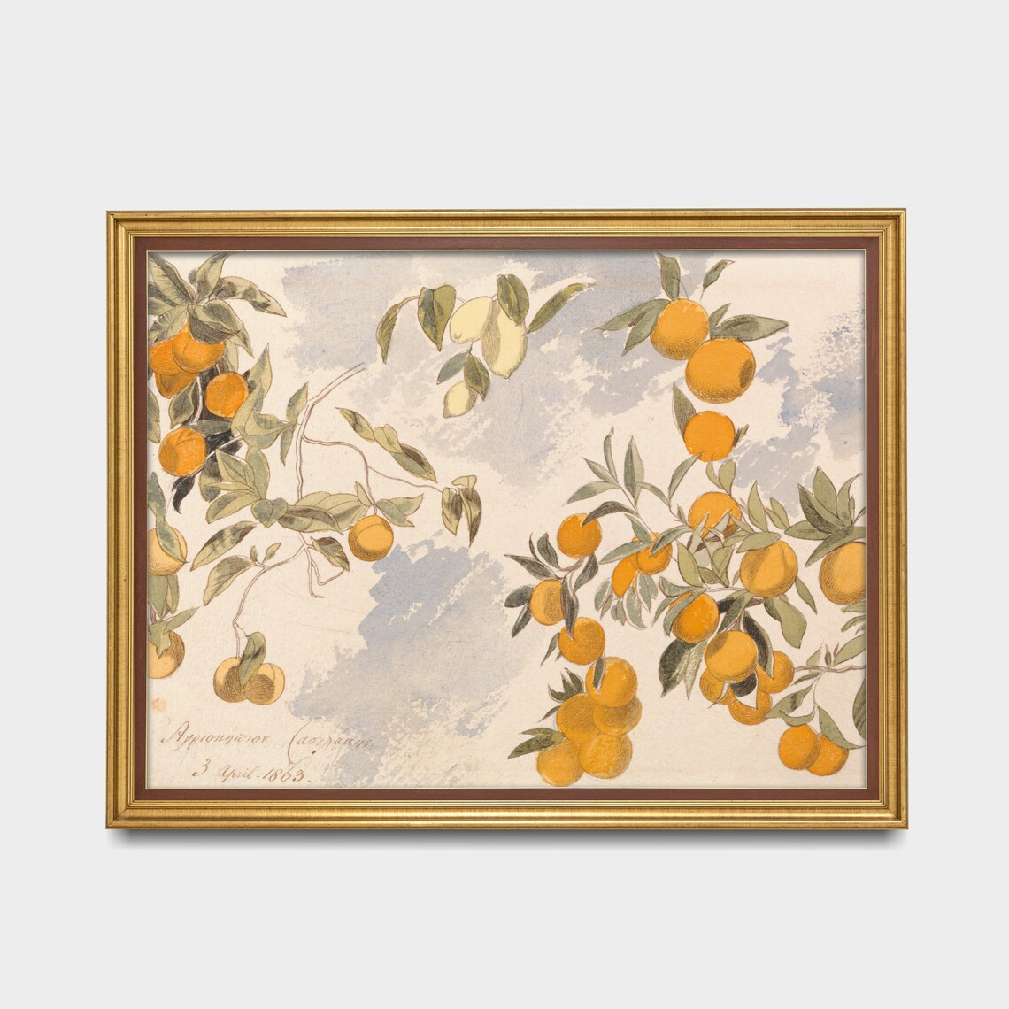 Orange and Lemon Branches Botanical Watercolor Dated 1863 Poster - Image 3