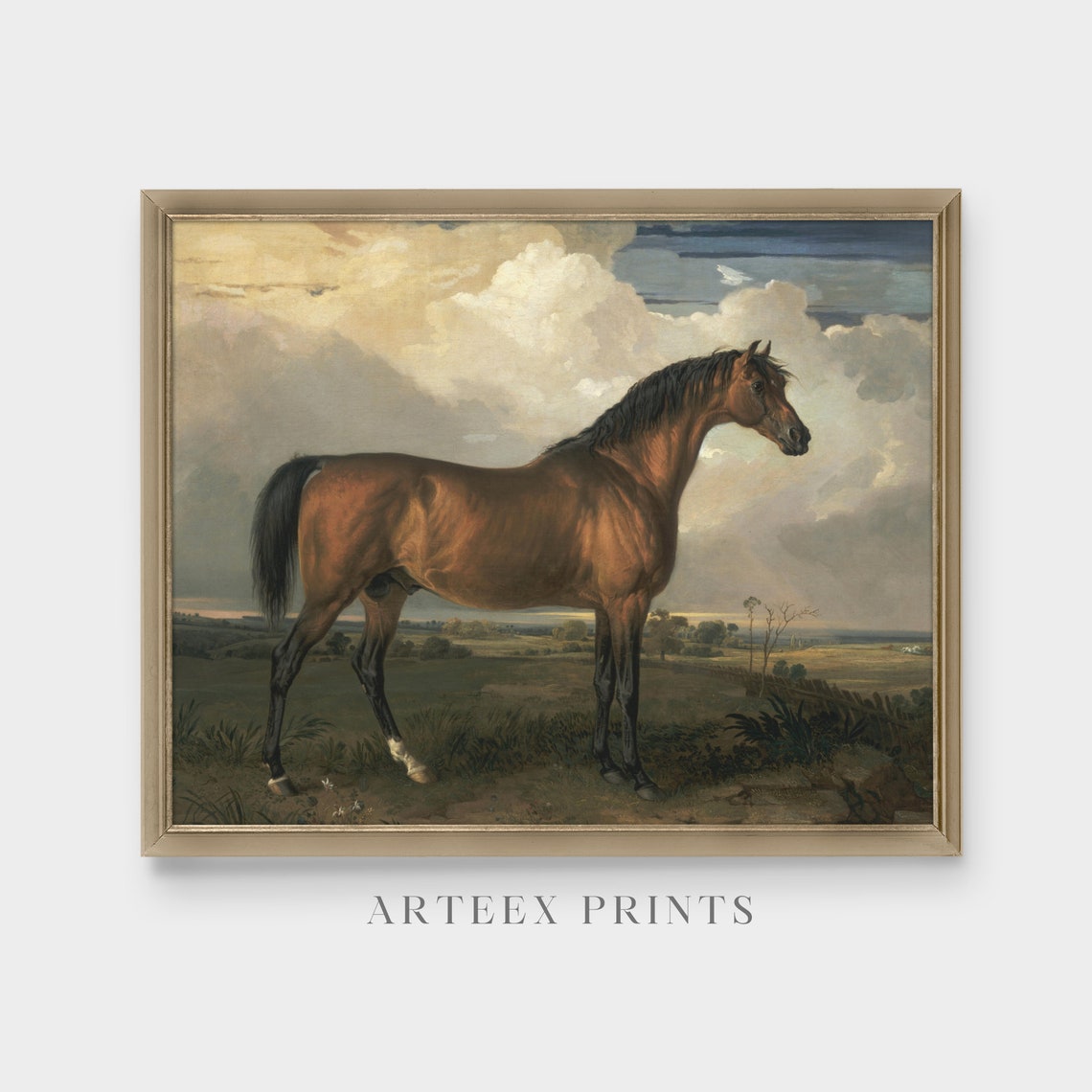 Vintage Horse Painting Antique Equestrian Print Farmhouse Animal Art Wall Art Oil Painting Fine Art - Image 5