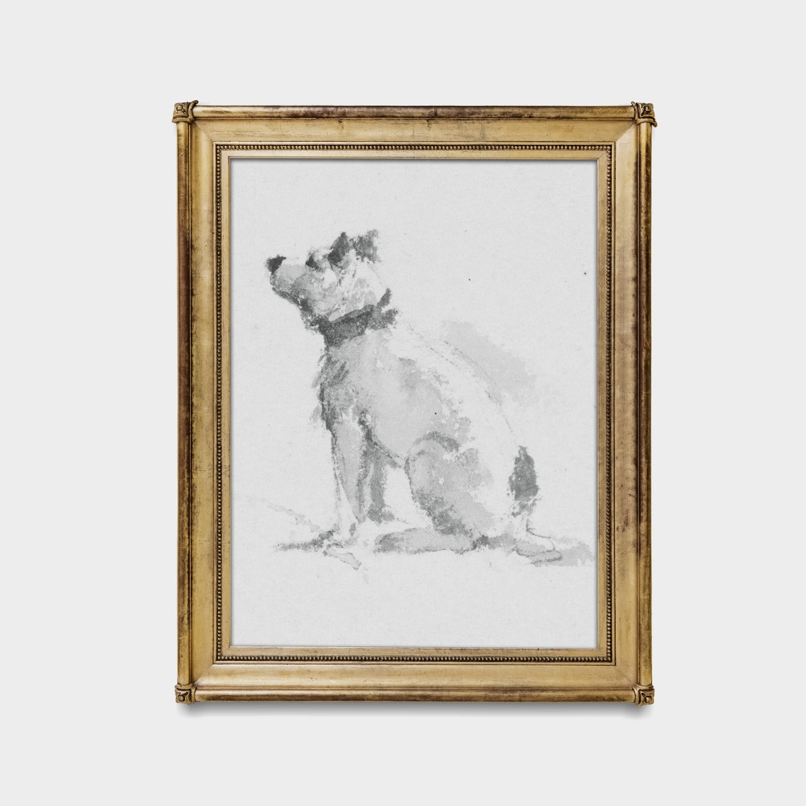 Seated Terrier Dog Gazing Upward Antique Pencil Sketch Study Poster - Image 4