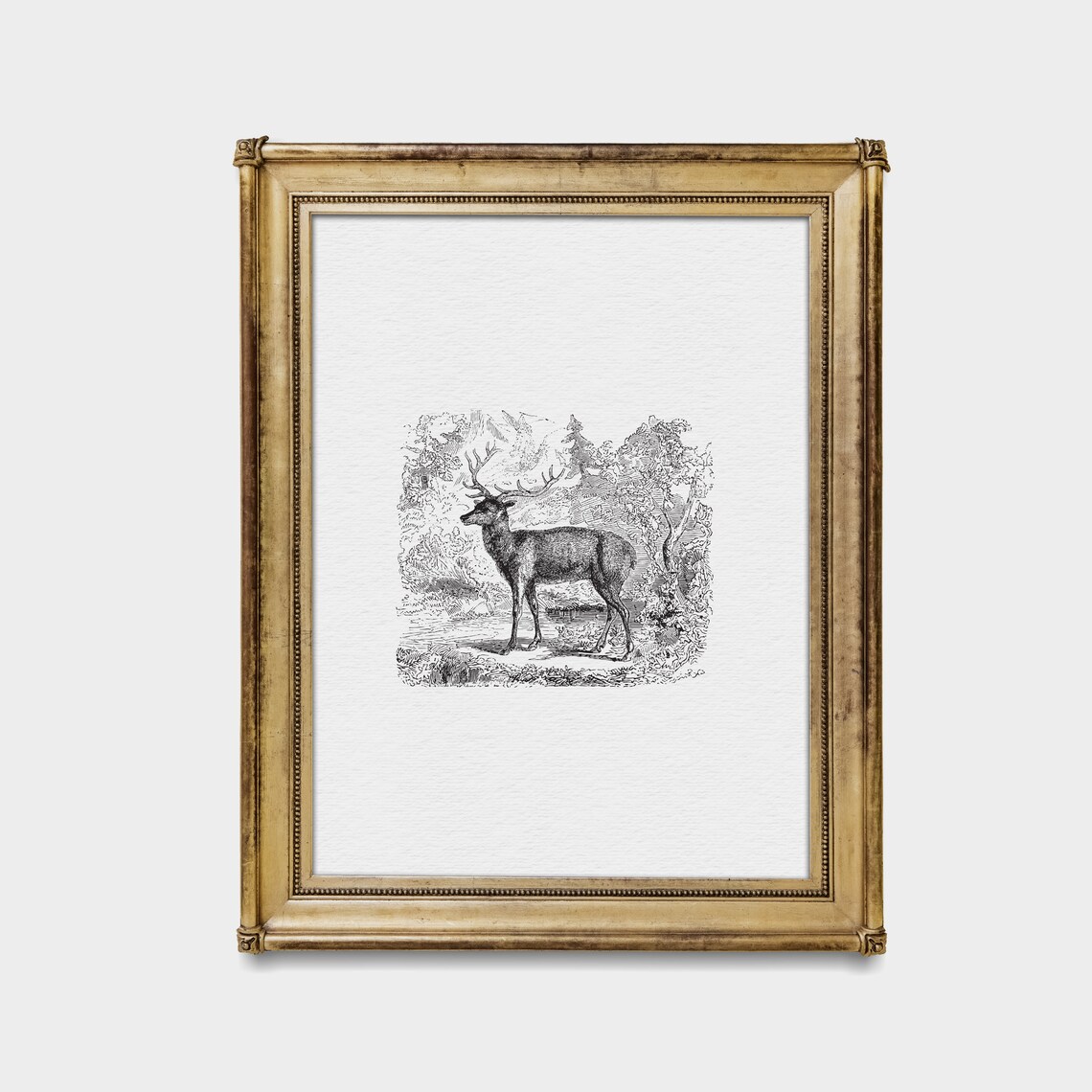 Standing Stag in Woodland Antique Engraving Vignette Minimalist Wall Art - Image 2