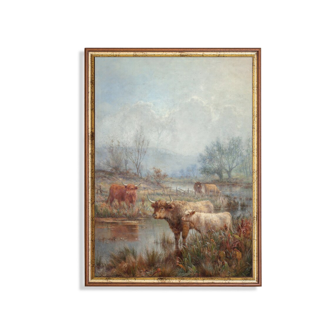 Highland Cattle with a White Calf by a Misty Stream Farm Poster