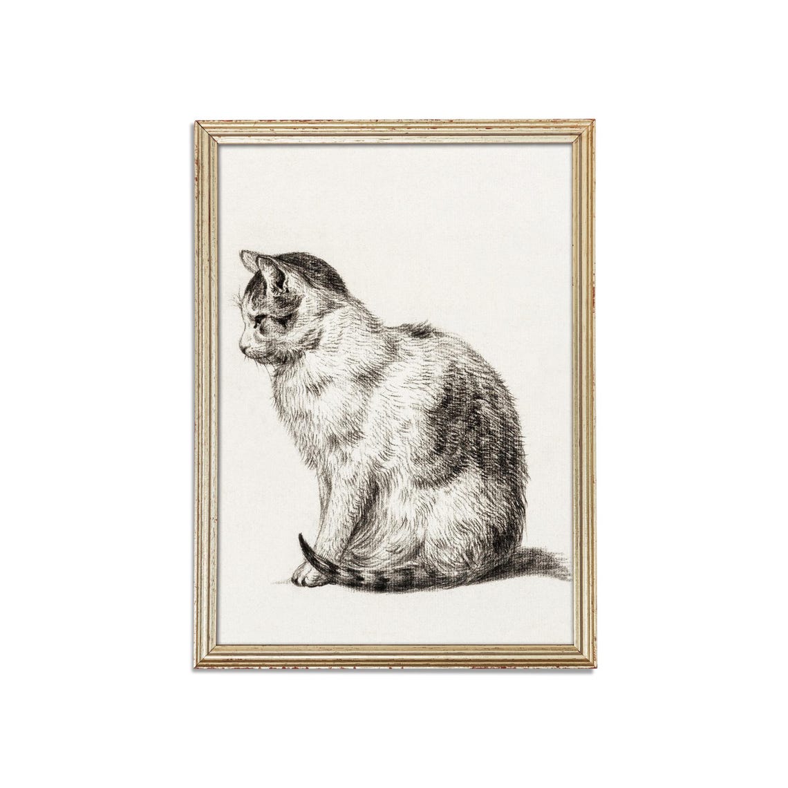 Seated Tabby Cat in Profile Vintage Graphite Pencil Study Poster - Image 3