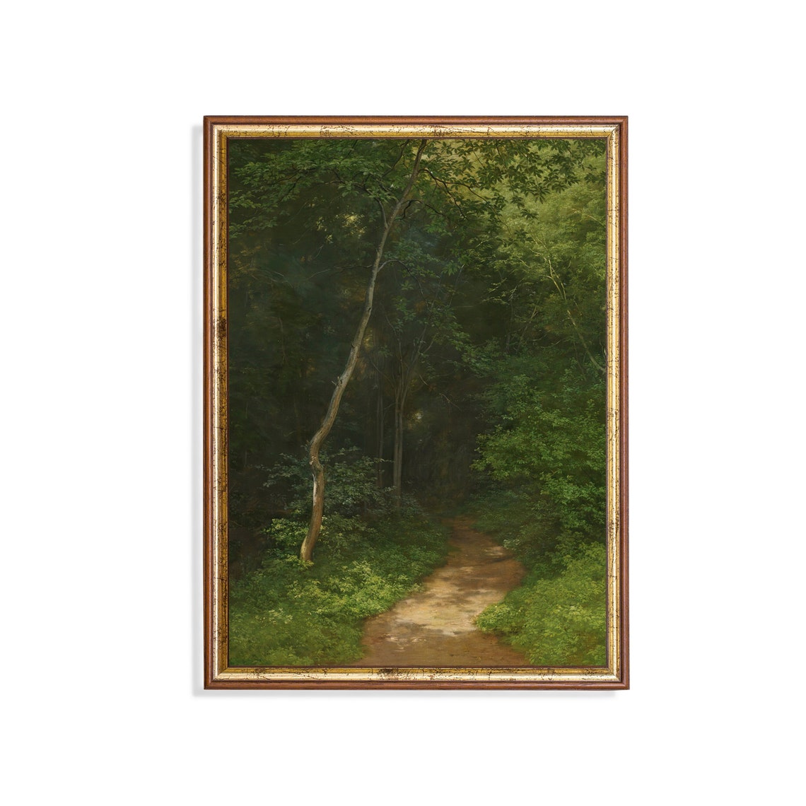 Sunlit Forest Path Winding Through Deep Green Woodland Poster