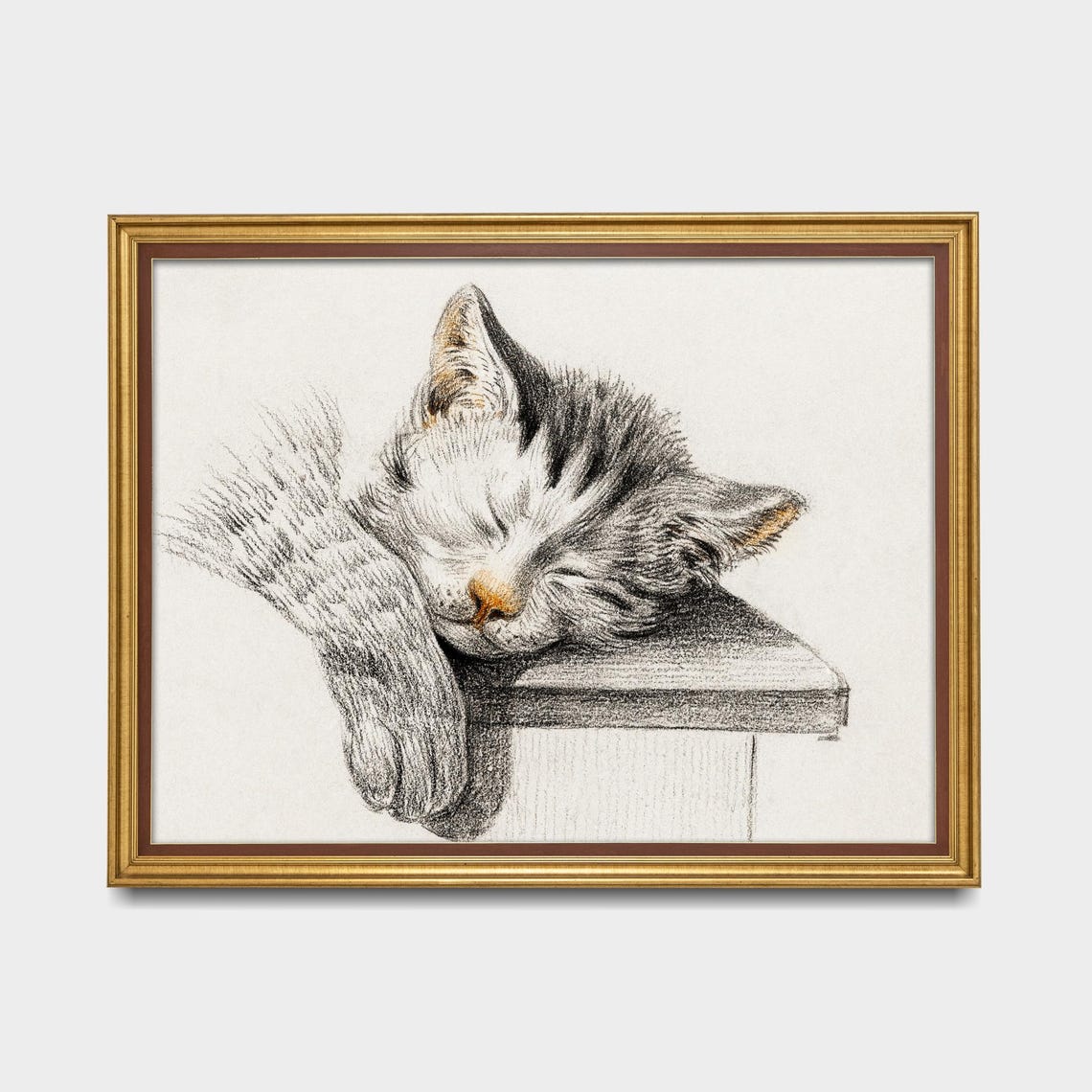 Sleeping Kitten Resting on a Wooden Box Charcoal Sketch Poster - Image 5