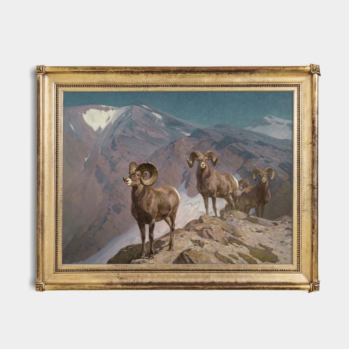 Bighorn Sheep Rams On A Rocky Mountain Ridge Painting Poster - Image 4