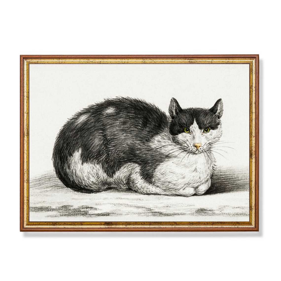 Vintage Black and White Cat Sketch Drawing Resting Loaf Wall Art