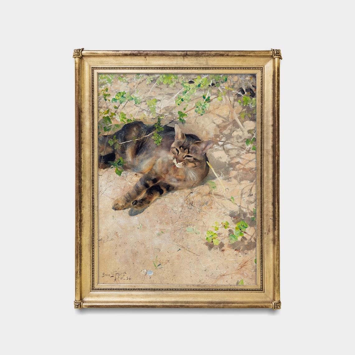 Sleeping Tabby Cat Lounging in Dappled Garden Sunlight Poster - Image 5
