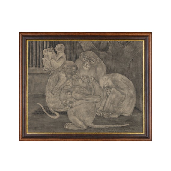 Mailed Print Vintage Monkeys Drawing Print Five Monkeys Sketch Antique Animal Print Moody Rustic Art Printed And Shipped