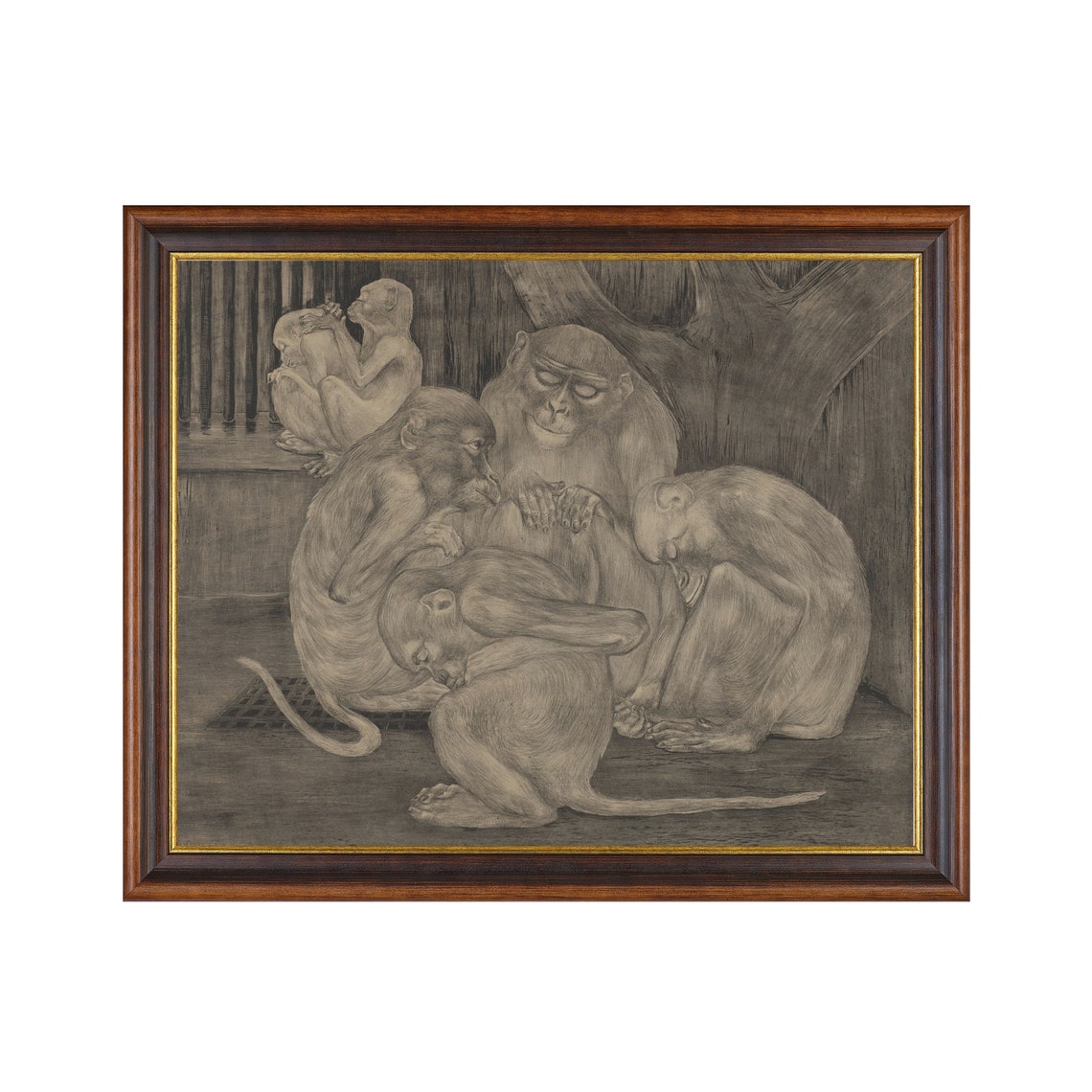 Mailed Print Vintage Monkeys Drawing Print Five Monkeys Sketch Antique Animal Print Moody Rustic Art Printed And Shipped