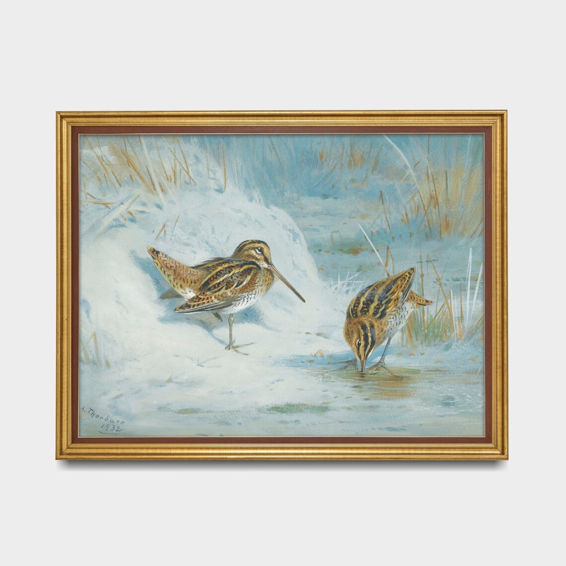Pair Of Snipe In A Snowy Winter Stream Bird Painting Vintage Poster - Image 5