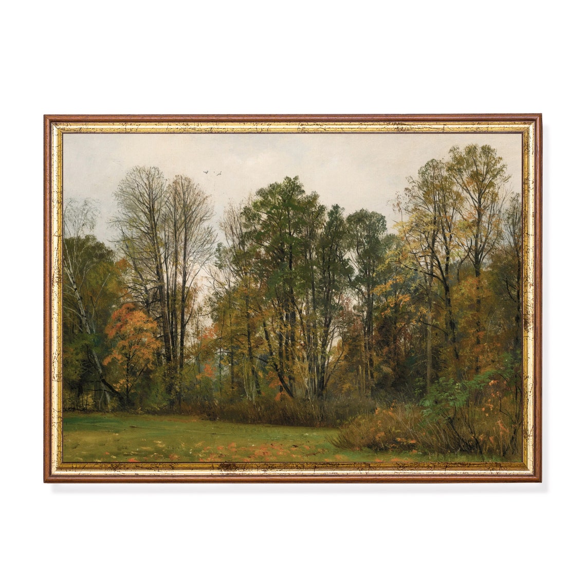 Autumn Woodland Edge with Gold-Tinged Trees Fall Landscape Poster