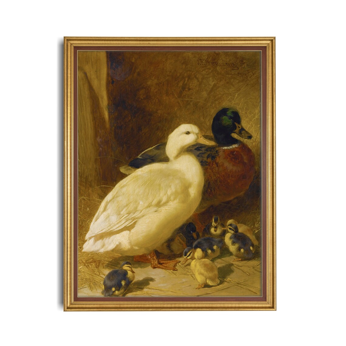 Vintage Duck and Ducklings Antique Birds Art Print - Image 3