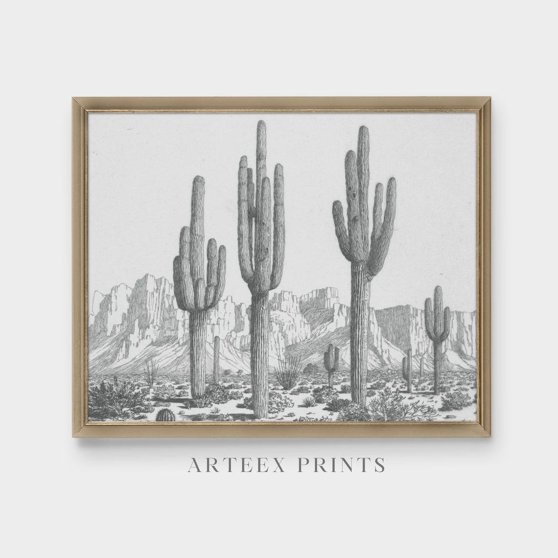 Tall Saguaro Cacti in a Desert Valley Vintage Botanical Sketch Poster - Image 4