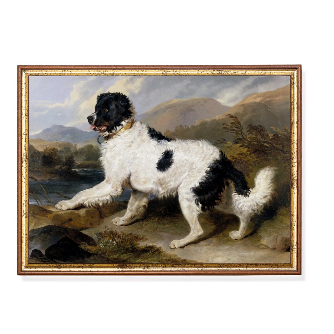 Printed And Shipped Vintage Dog Painting Antique Animal Print Farmhouse Country Decor Dog Lover Gift Fine Art Physical Prints