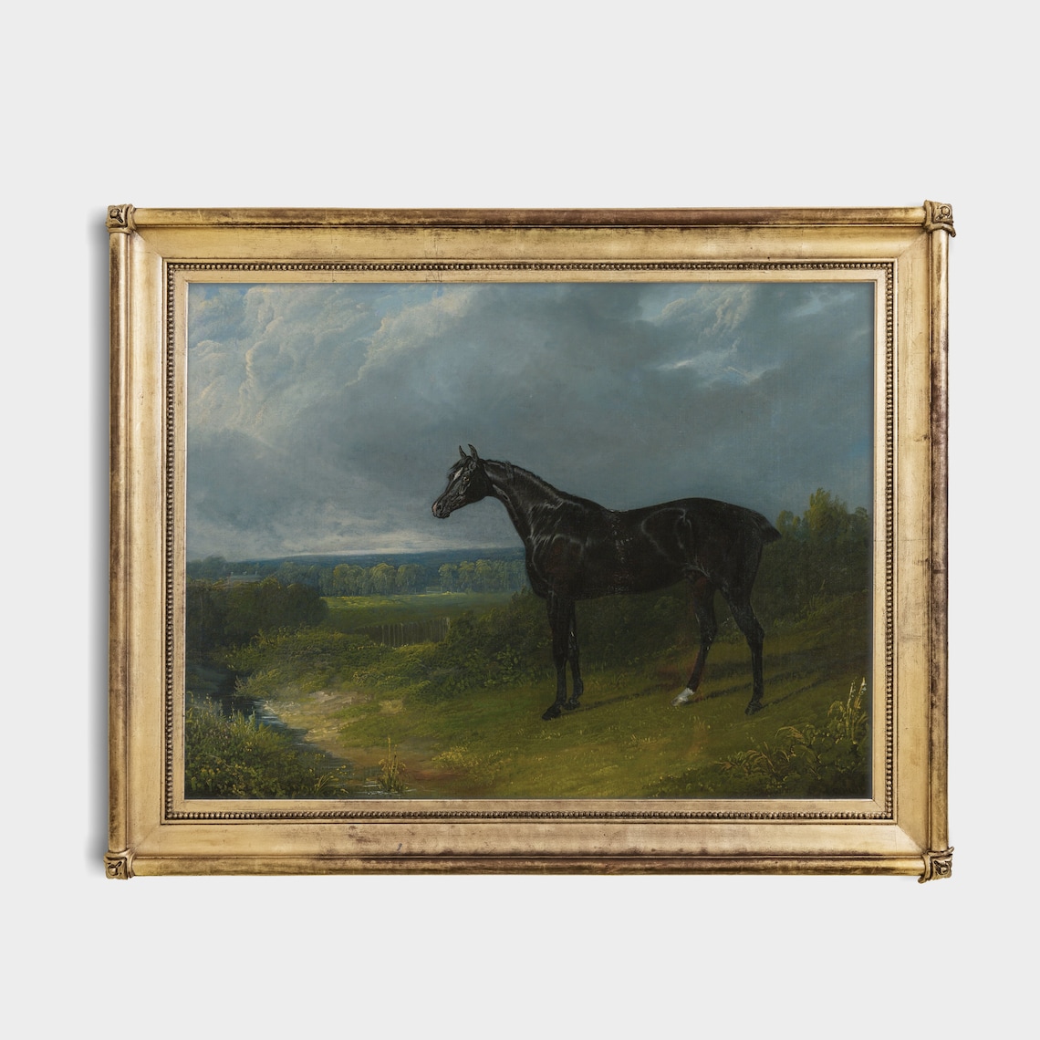 Black Horse Standing Alone in a Moody Country Landscape Poster - Image 2
