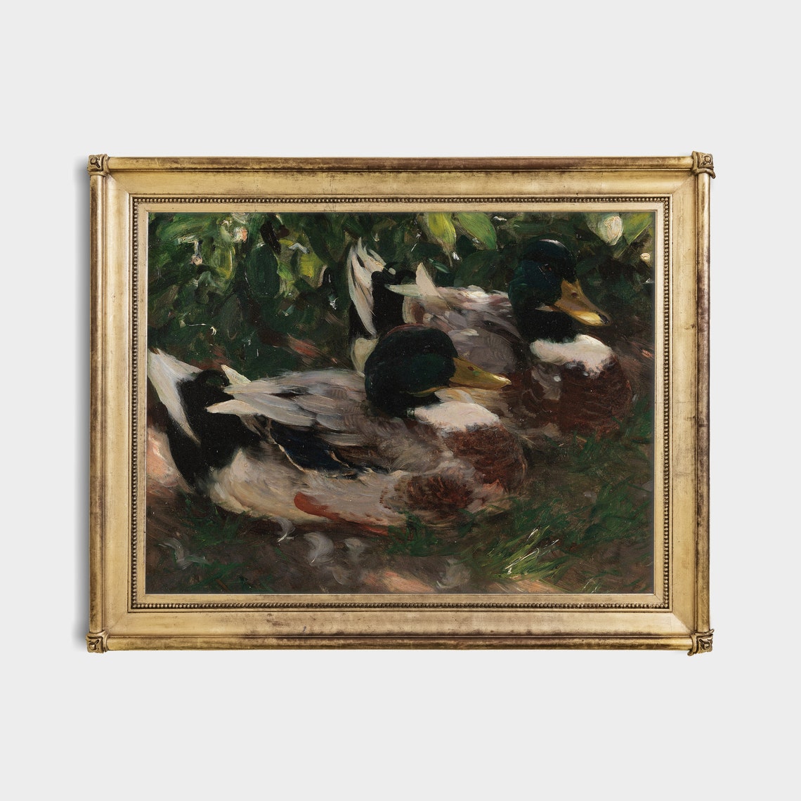 Two Resting Mallard Ducks in the Grass Vintage Wildlife Poster - Image 4
