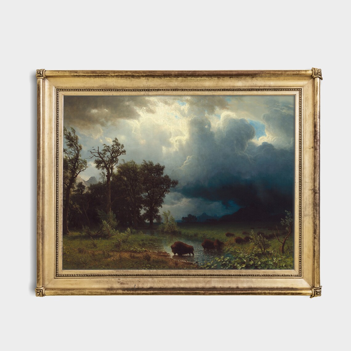 Vintage Buffalo Country Landscape Poster Print - Image 2