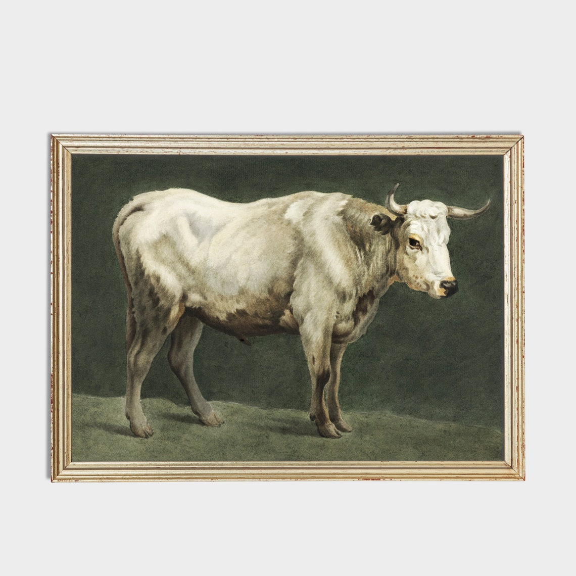 Vintage Animal Print Antique Bull Painting Farm Animal Art Wall Art Farmhouse Decor Fine Art Print - Image 2