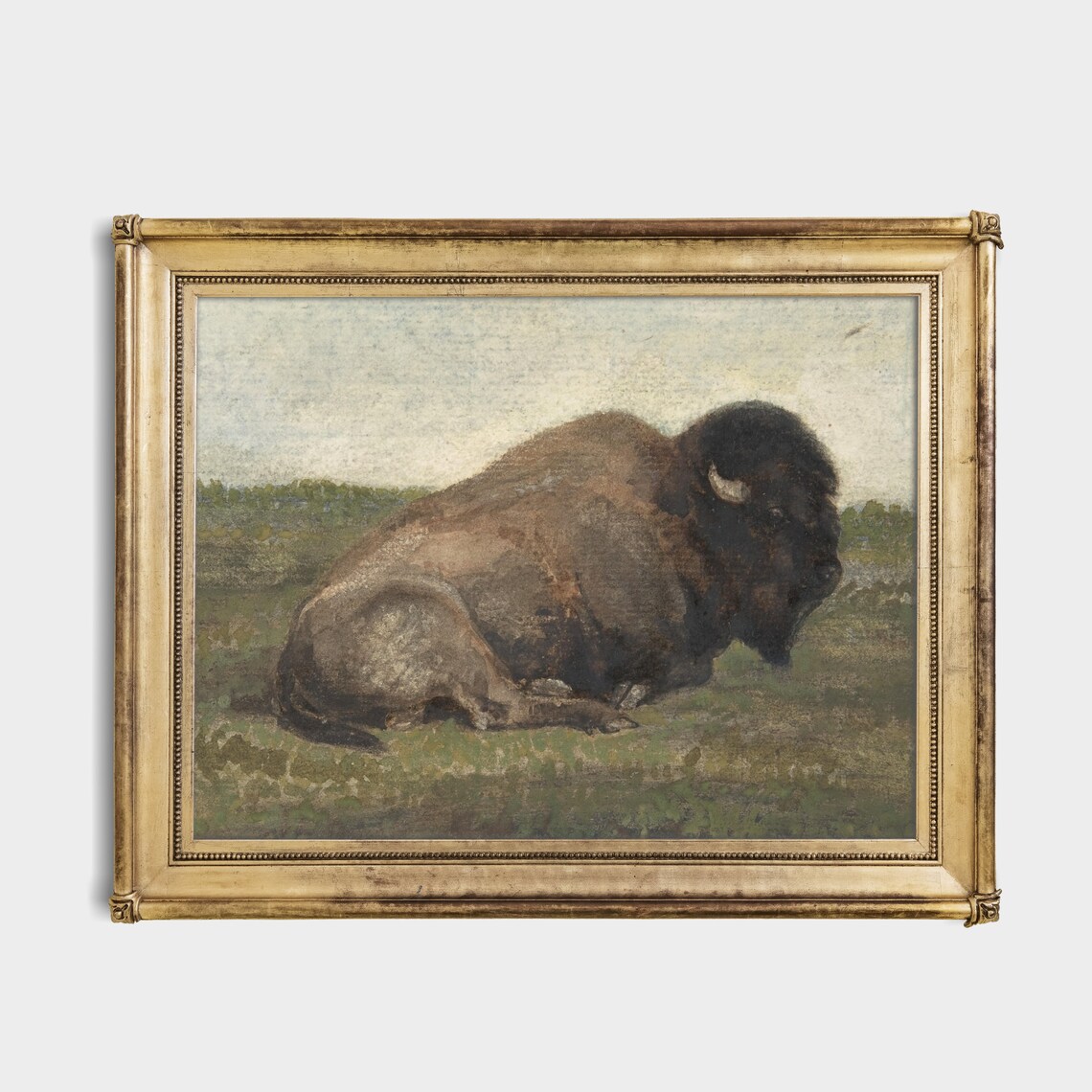 Resting American Bison on Open Prairie Vintage Wildlife Art Poster - Image 4