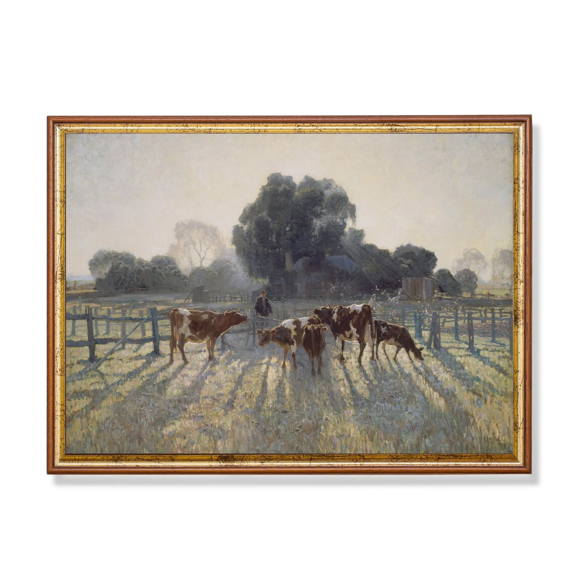 Dairy Cows In Morning Pasture Antique Farm Scene Painting Poster