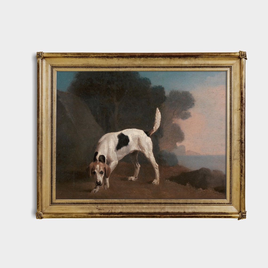 Spotted Hunting Hound Sniffing the Ground Antique Sport Poster - Image 4