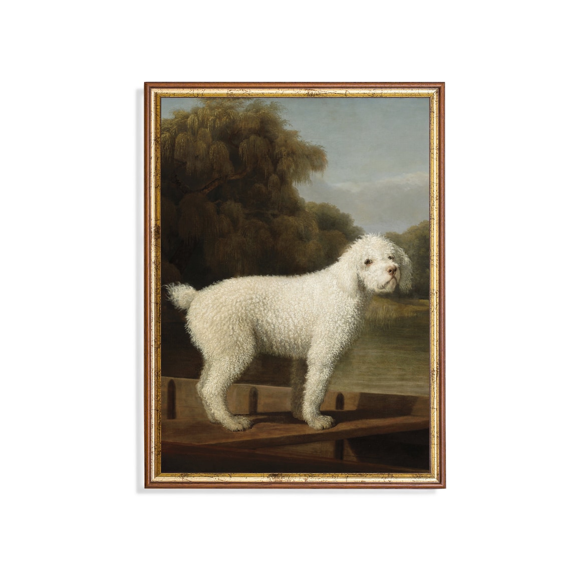 White Poodle Standing in a Punt Classic English Dog Portrait Poster