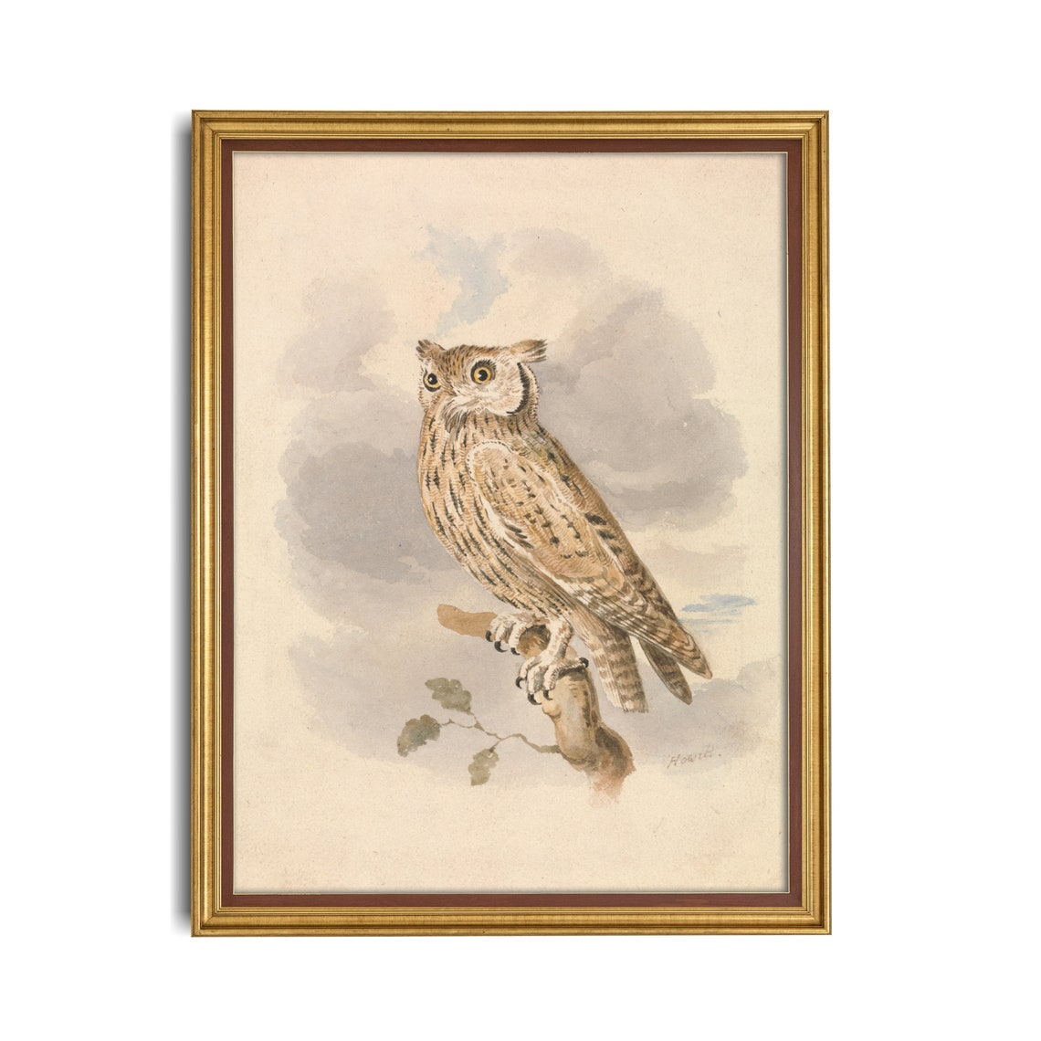 Long-Eared Owl Perched on Branch Antique Watercolor Bird Poster - Image 3
