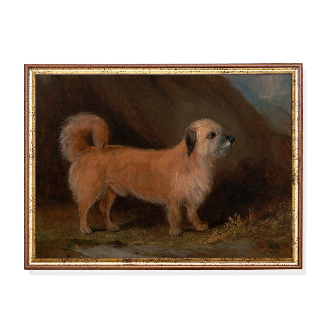 Tan Terrier Dog Standing in a Field Antique Animal Painting Poster