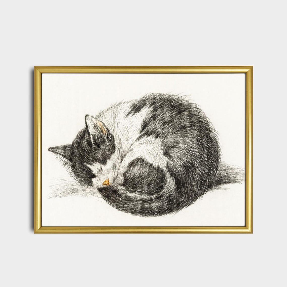 Sleeping Tabby Cat Curled in a Ball Vintage Graphite Sketch Poster - Image 2