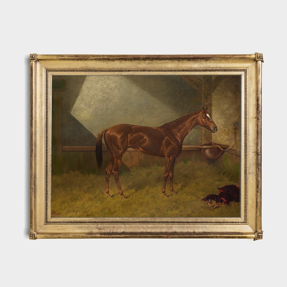 Chestnut Racehorse Standing in a Straw-Filled Sunlit Stable Poster - Image 2