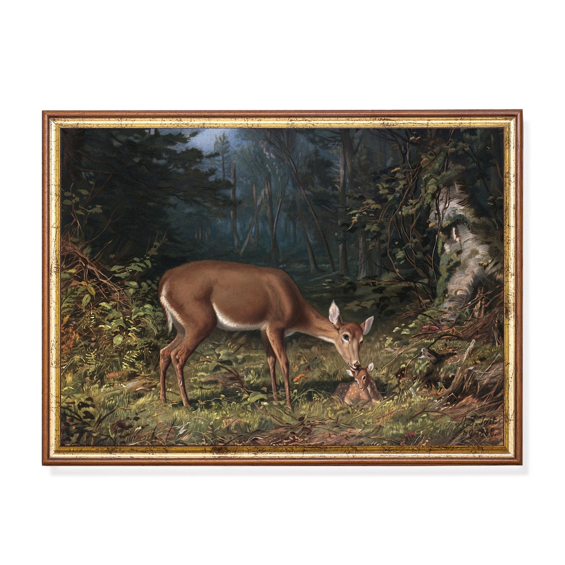 Doe and Fawn in a Moonlit Forest Antique Deer Painting Poster