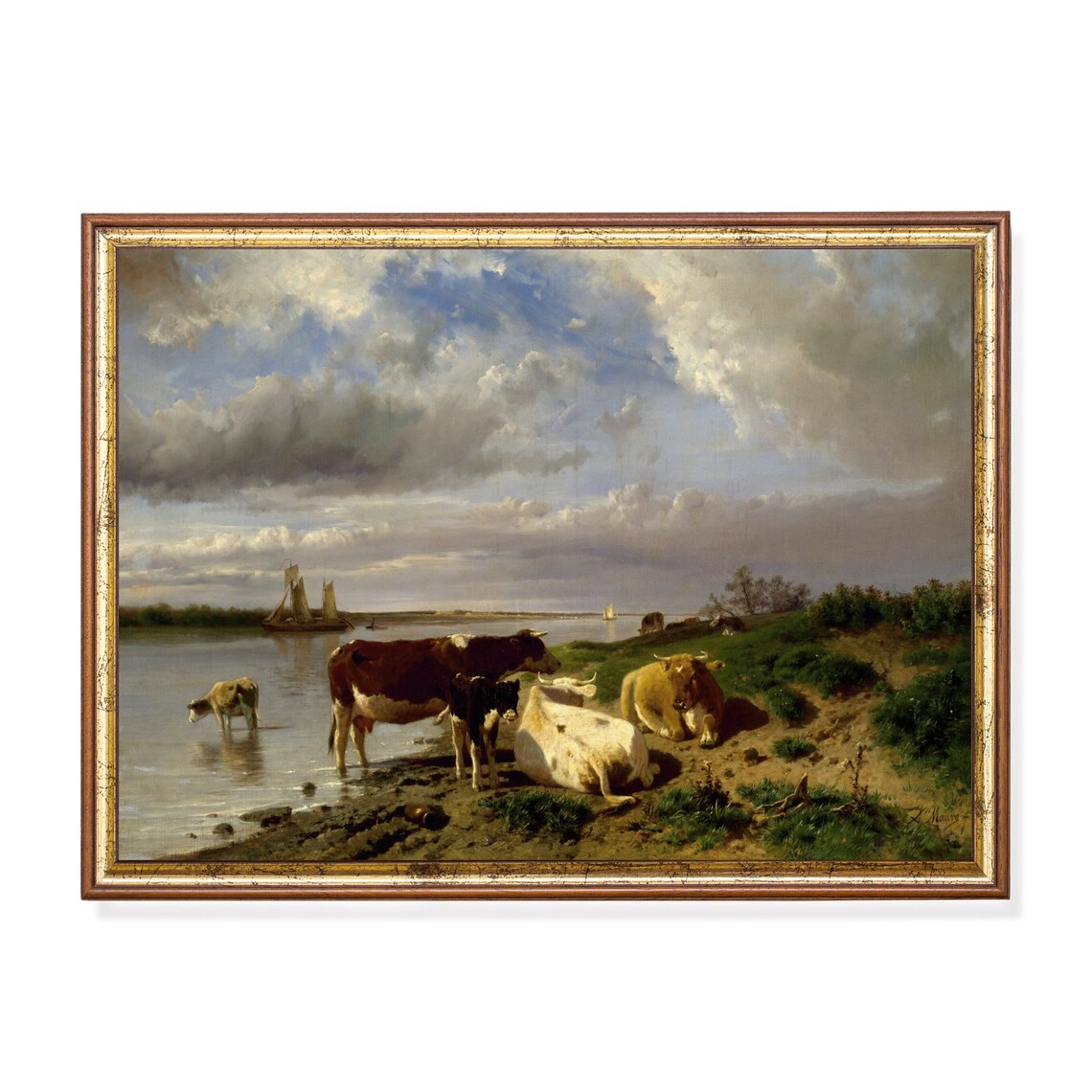 Cattle Resting on a Riverbank with Sailboat Landscape Poster