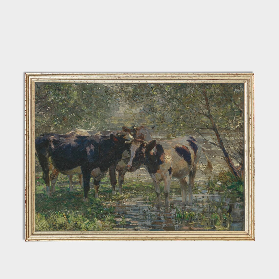 Cows Wading in a Shaded Woodland River Vintage Cattle Poster - Image 2