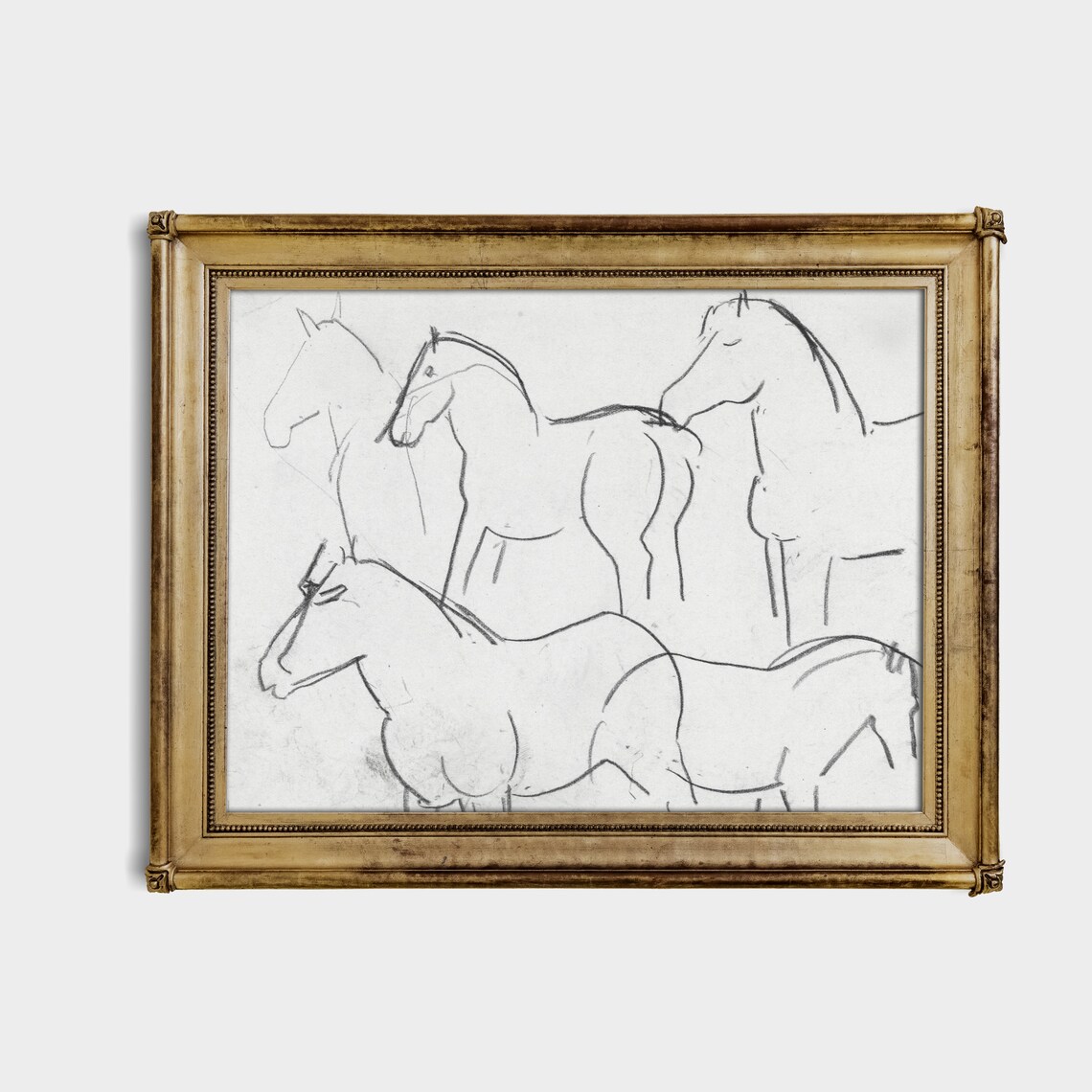 Vintage Sketch Drawing Five Horses Study, Line Art - Image 3