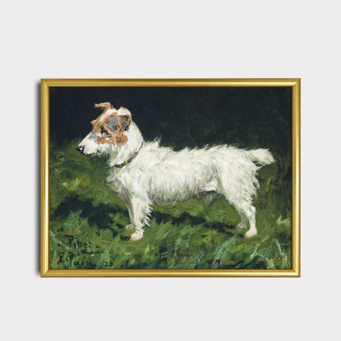 White Terrier Named Piper Standing Alert in Green Grass Poster - Image 2