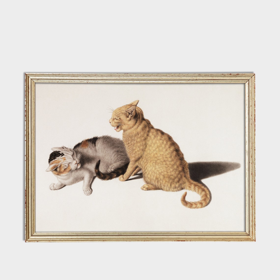 Ginger Tabby And Calico Cats Antique Feline Illustration Poster - Image 3