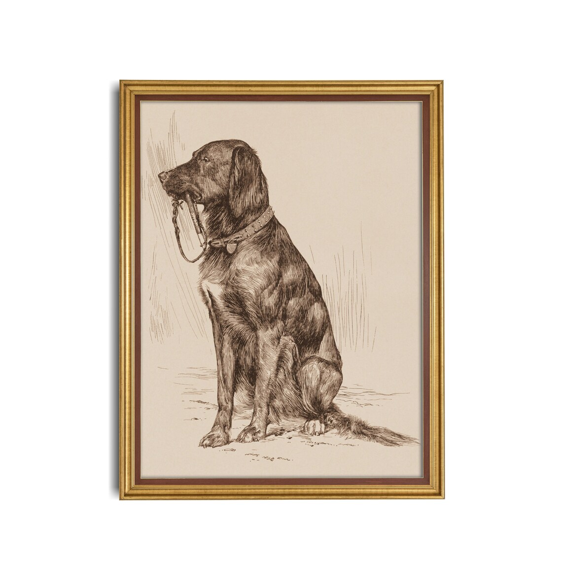 Vintage Dog Portrait Antique Drawing Art Print - Image 3
