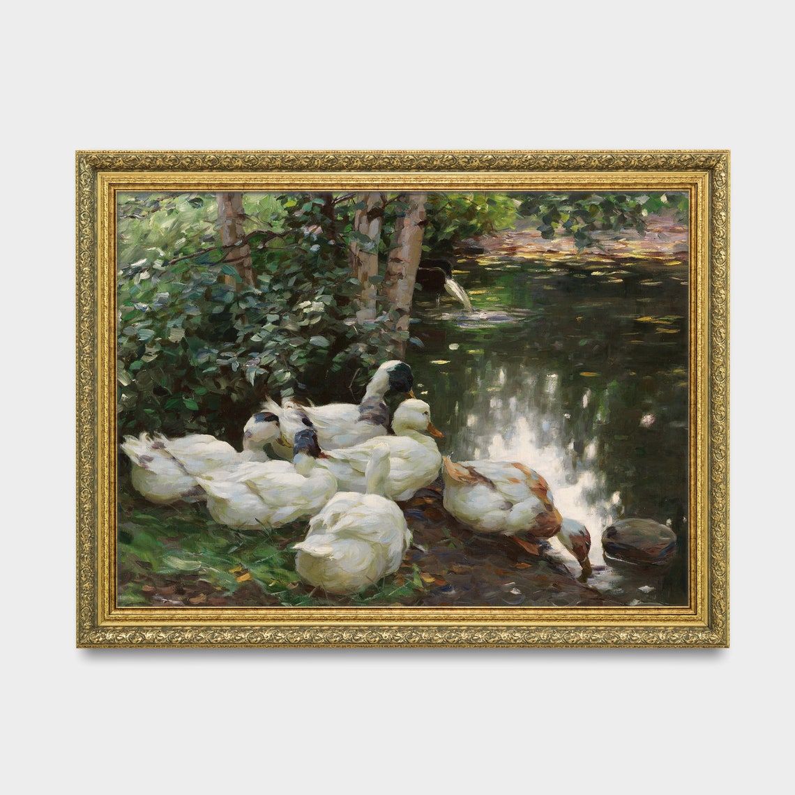 White Ducks Gathered at the Edge of a Shaded Woodland Pond Poster - Image 3