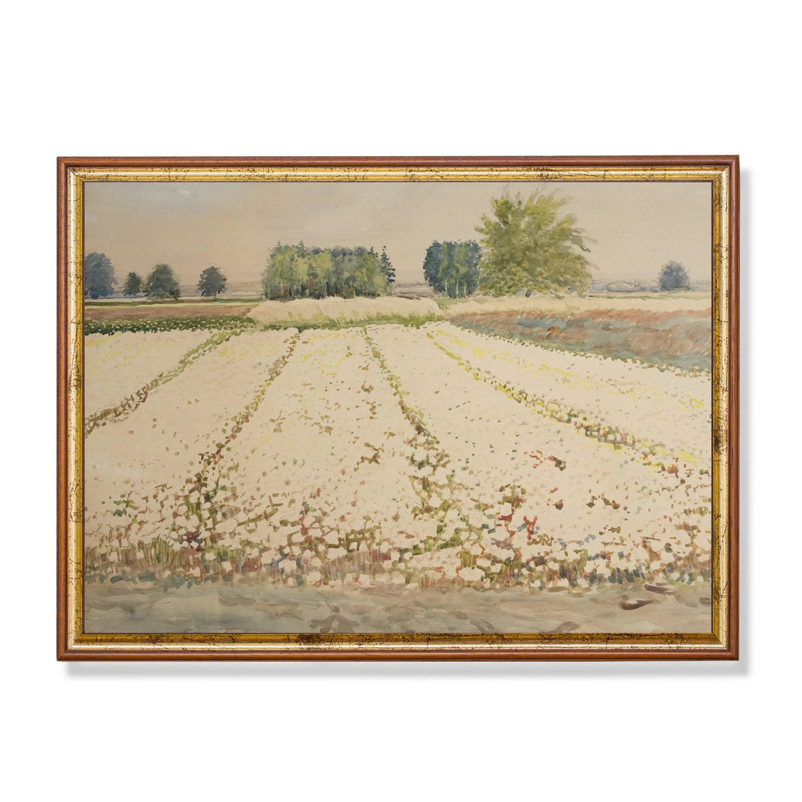 Field of White Blossoms with Trees on the Distant Horizon Poster
