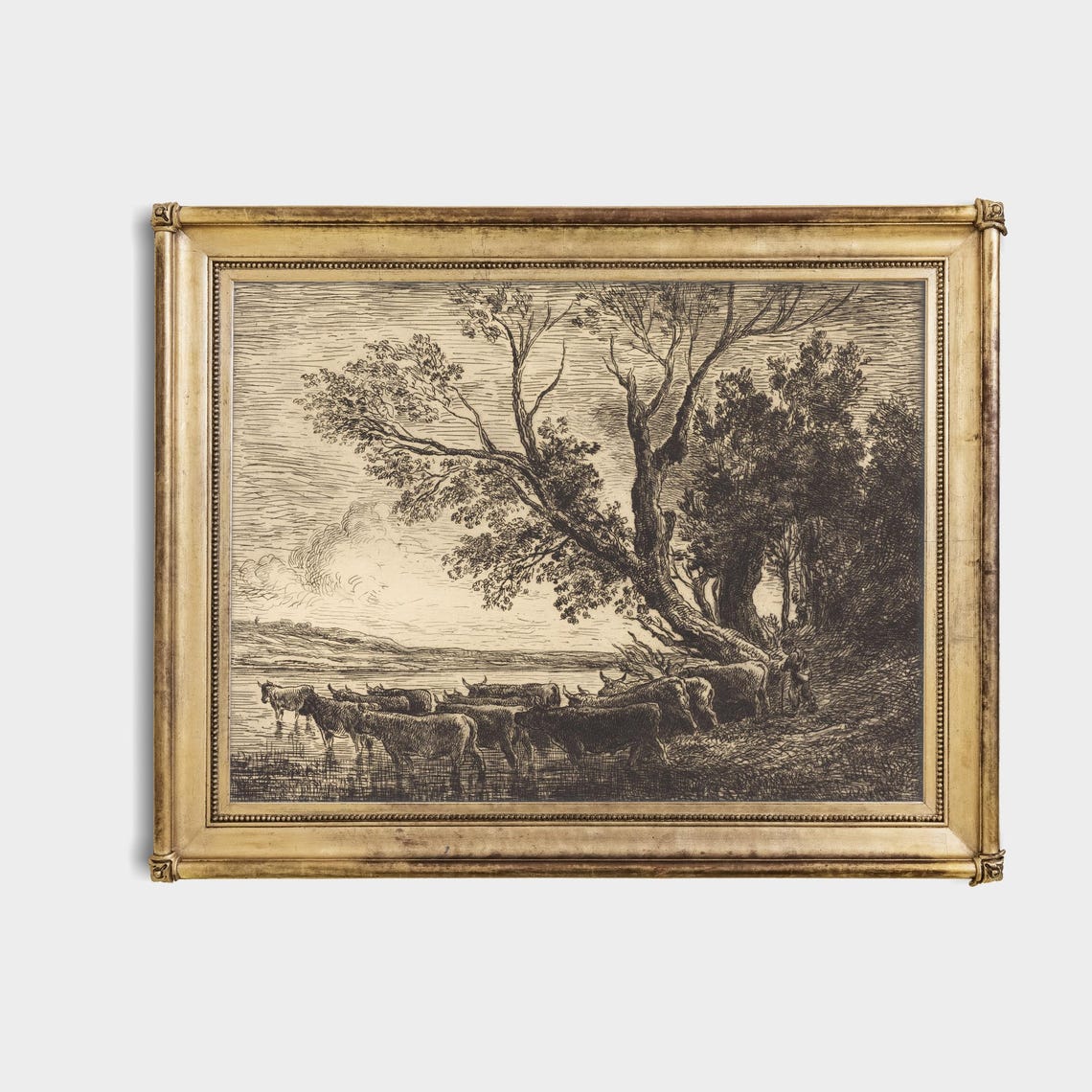 Cattle Watering by a River Etching with Leaning Trees Poster - Image 4