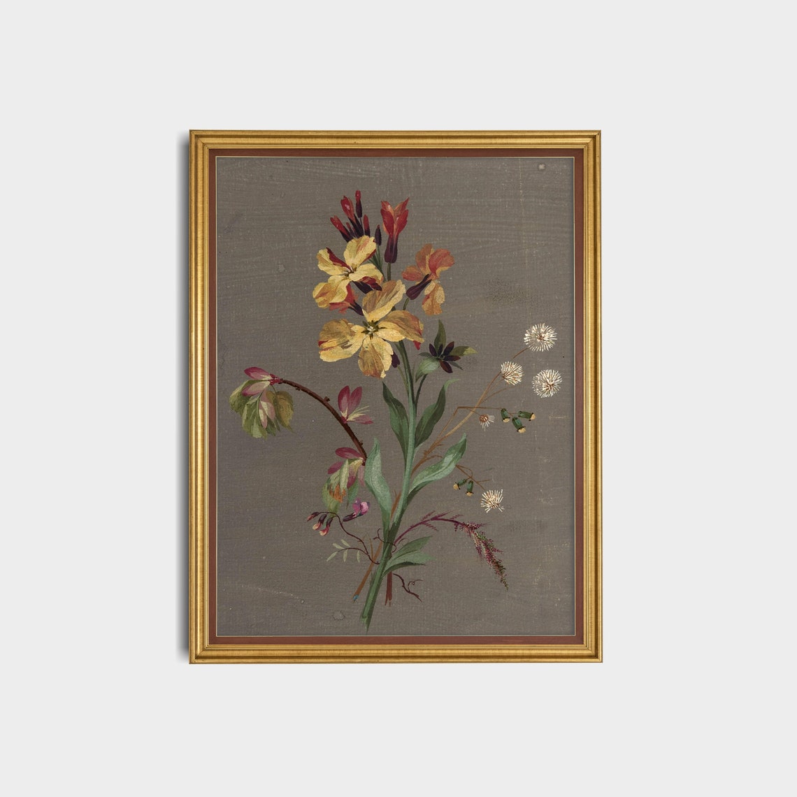 Antique Wallflower Botanical Sketch on Grey Paper Floral Poster - Image 3