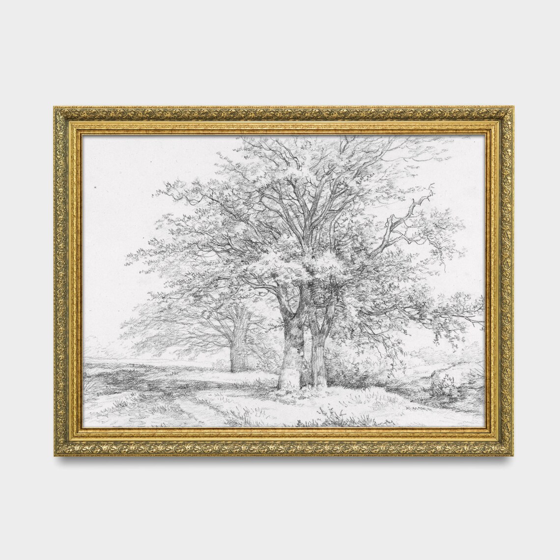 Oak Trees Pencil Sketch Antique Landscape Drawing Vintage Art Poster - Image 3