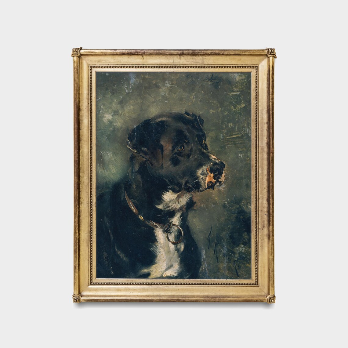 Noble Black Dog Portrait with Collar in Side Profile View Poster - Image 5