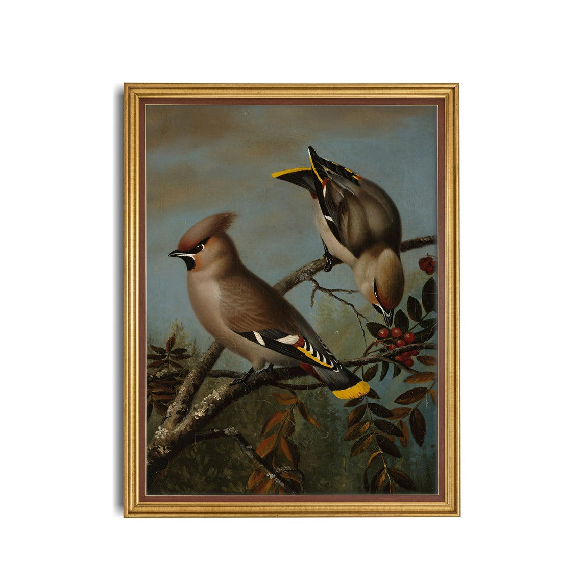 Two Beautiful Bohemian Waxwings Feeding on Red Berries Poster - Image 3