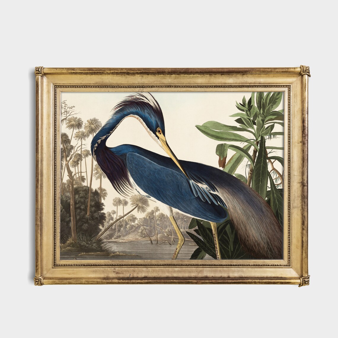 Heron Vintage Farmhouse Art Print, 19th Century - Image 2