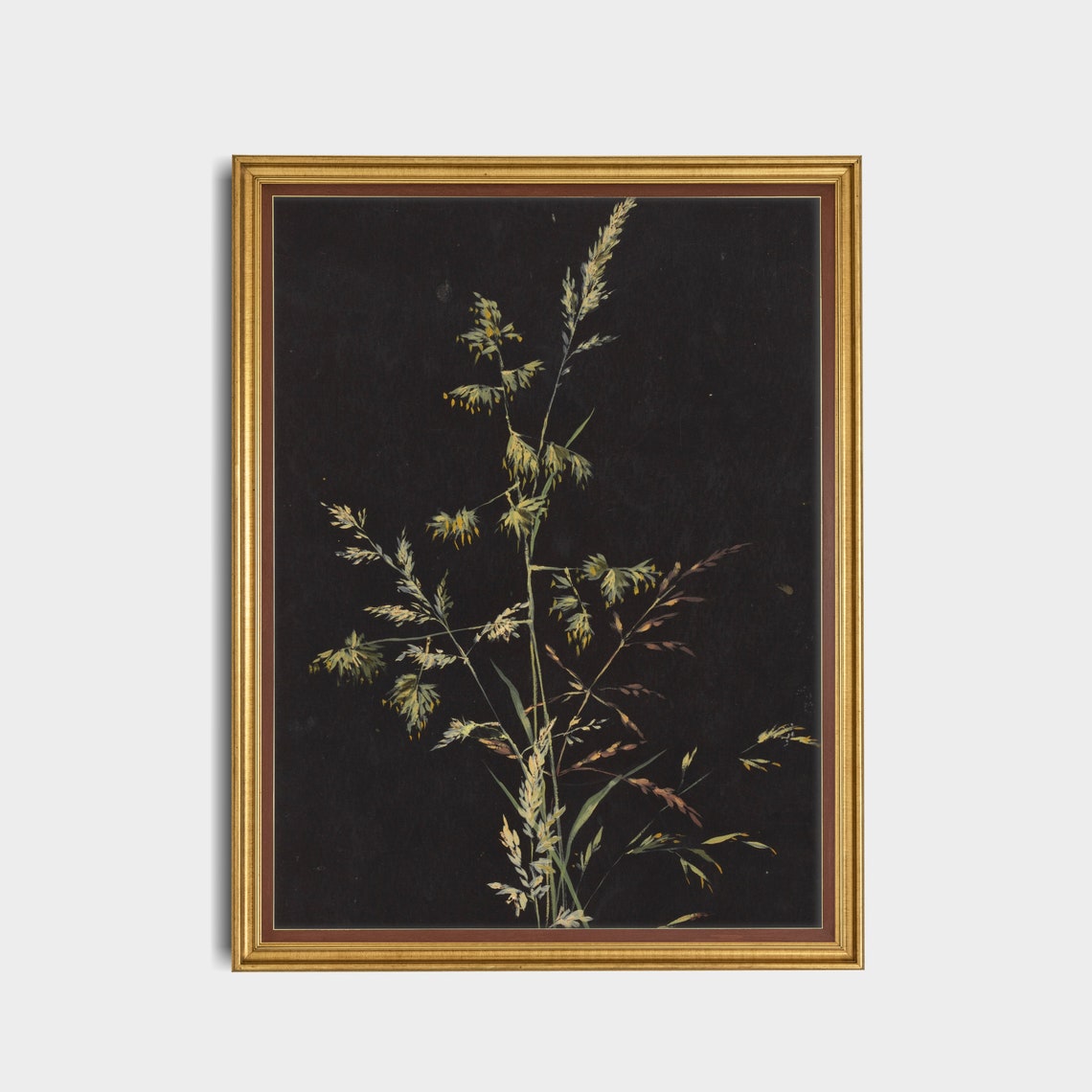 Wild Meadow Grass Sprig on a Black Ground Botanical Study Poster - Image 4
