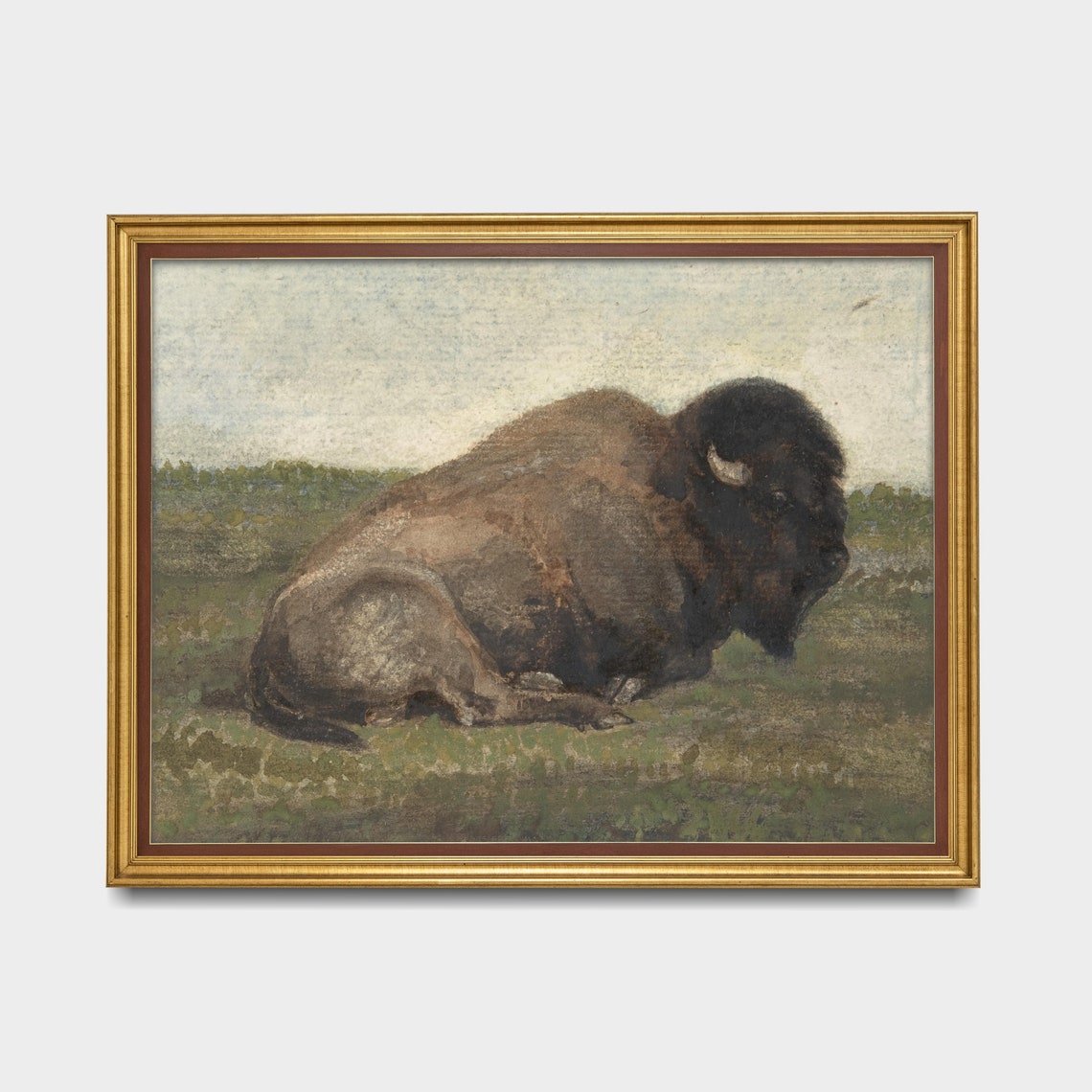 Resting American Bison on Open Prairie Vintage Wildlife Art Poster - Image 5