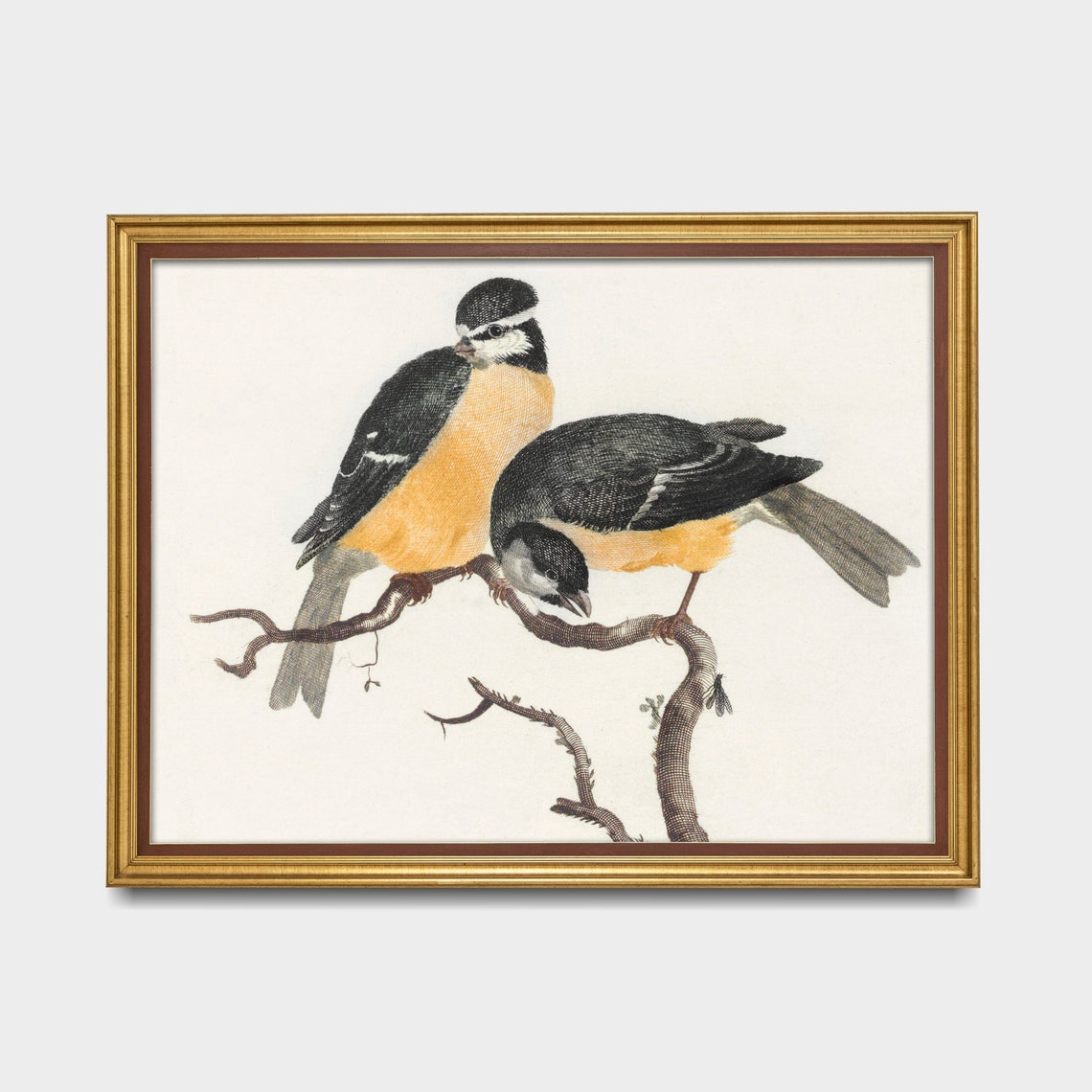 Pair of Songbirds Perched on Branches Vintage Bird Study Poster - Image 3
