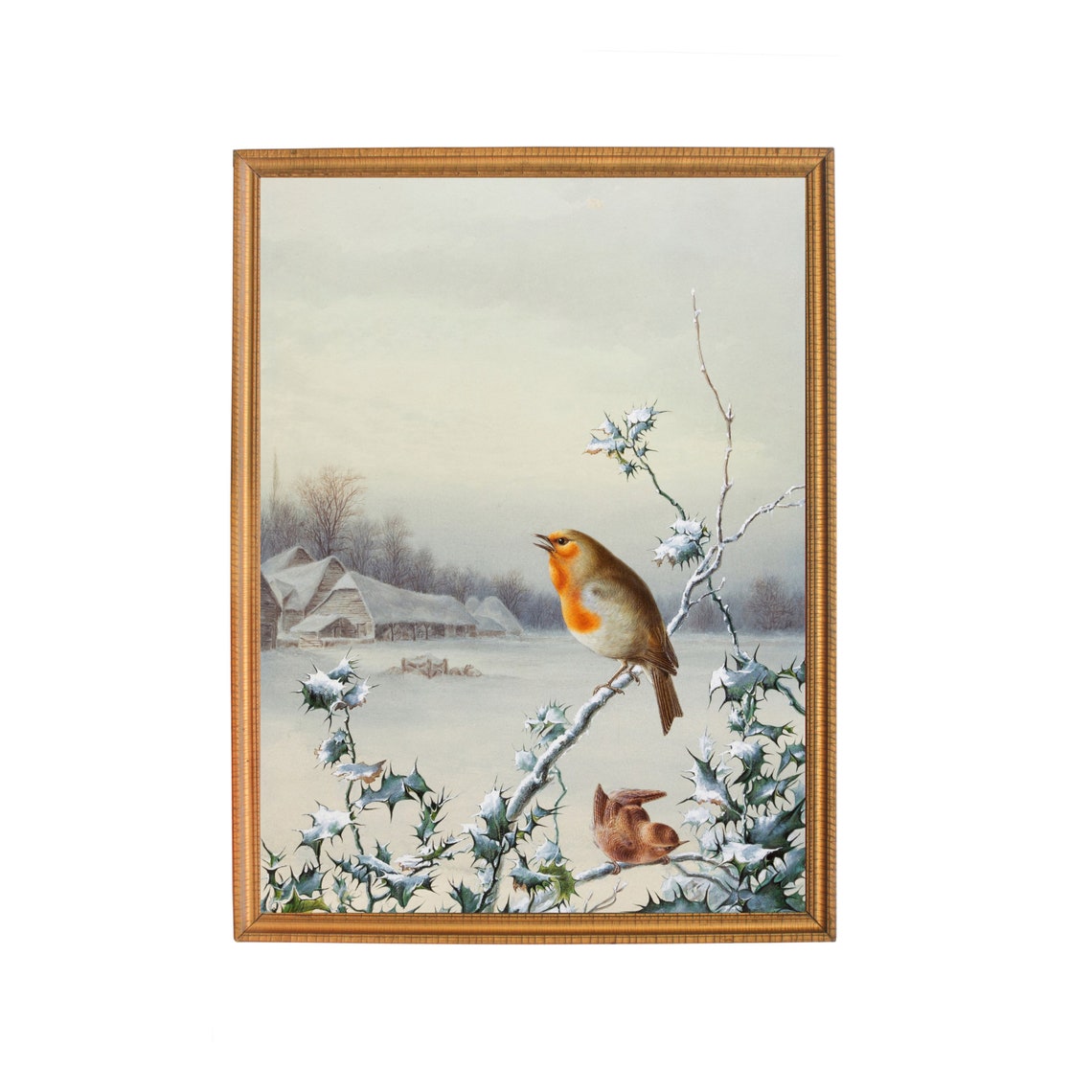 Robin And Wren On Snowy Holly Branches Vintage Winter Birds Poster - Image 2